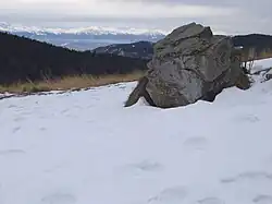 Widok z polany na Tatry