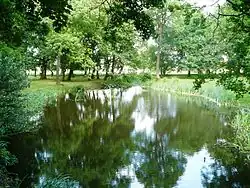 Park pałacowy