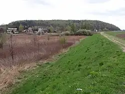 Widok na Grodzisko z wałów wiślanych