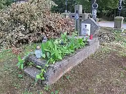 Grób prof. Michała Rostworowskiego (1864-1940) w Gromniku k. Tarnowa