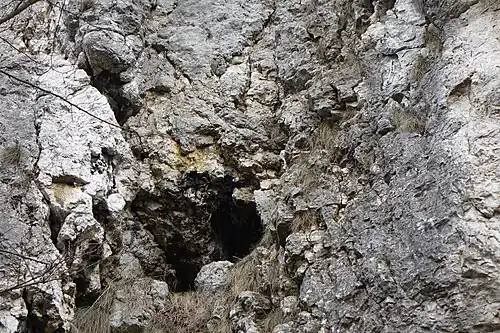 Otwór jaskini