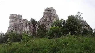 Knur, Locha i Warchlak