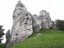 Knur, Locha i Warchlak