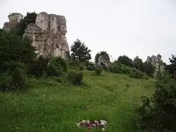 Locha, Knur i Zamkowa