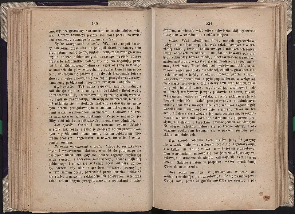 Przepisy na marynowanie grzybów z książki Anny Ciundziewickiej „Gospodyni litewska”. Zwraca uwagę wykorzystanie ałunu i saletry jako konserwantów.