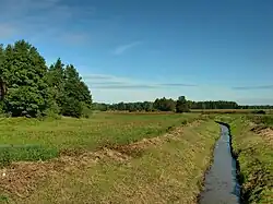 Potok Gzówka w okolicy Słupicy