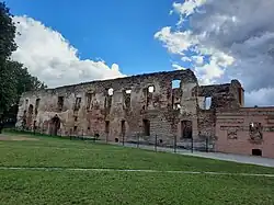 Ruiny zamku w Holszanach