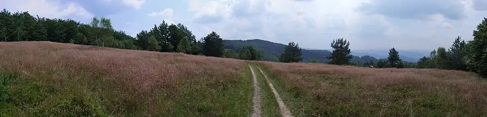 Hala Jaworzyna i widok wschodnią stronę