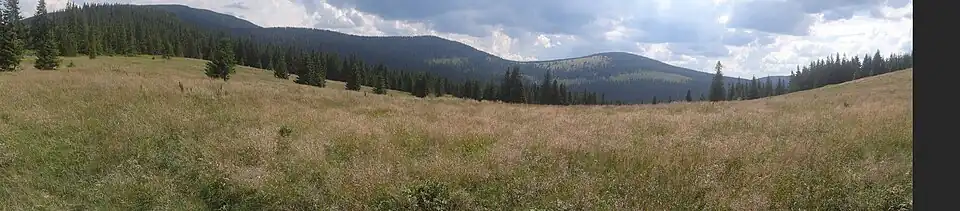 Hala Jodłowcowa i panorama widokowa na południe