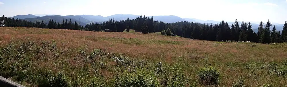Panorama widokowa z Hali Krawcula