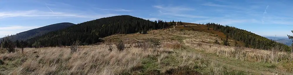 Panorama widokowa z Hali Kucałowej na zachód. Widoczna Polica, Złota Grapa i Jasna Góra