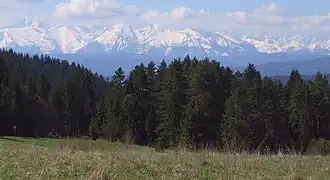 Tatry widziane z hali Majerz