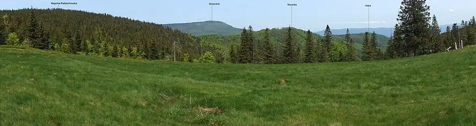 Widok z Hali Radziechowskiej