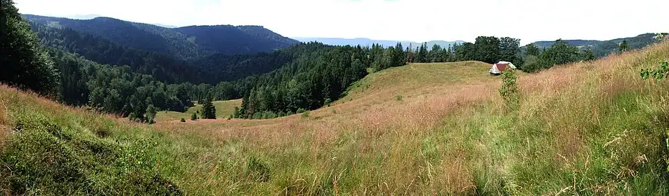 Hala Skotarka i panorama widokowa