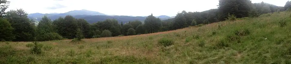 Hala Uszczawne i panorama widokowa