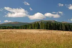 Widok z doliny górnego Sanu; od lewej: Rozsypaniec, Halicz, Wołowe, Kopa Bukowska