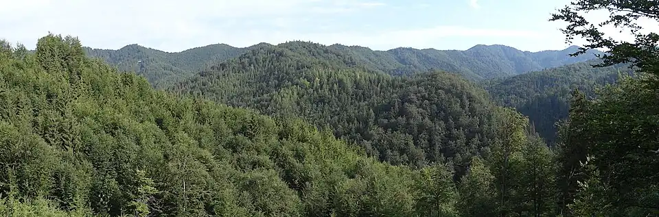 Górna część Harmaneckiej doliny