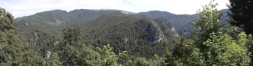 Środkowa część doliny