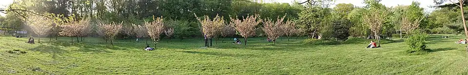 Panorama ogrodu japońskiego w Parku Herăstrău