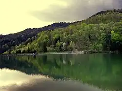 Na pierwszym planie staw, dalej prosta kamienna tama. W tle las.