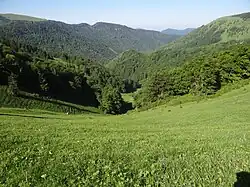 Hornoborišovská dolina