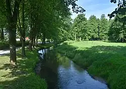 Potok Glinianiec w parku