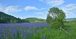 Widok od strony zachodniej