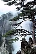 Widok typowy dla Huang Shan