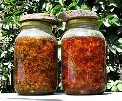 Zdjęcie, dwa słoiki wypełnione kwiatami dziurawca zalanymi olejem, w tle zielona roślinność