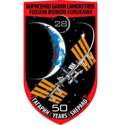 Emblemat Ekspedycja 28