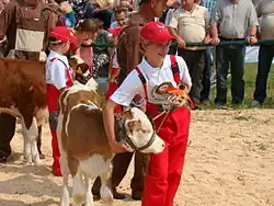 Rudawka Rymanowska, 2009