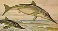 Ichtiozaury na obrazie Heinricha Hardera
