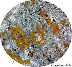 przy zastosowaniu jednego pryzmatu Nicola