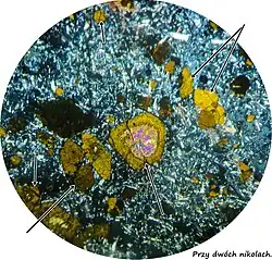 przy zastosowaniu dwóch skrzyżowanych pryzmatów Nicola