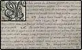 Inicjał litery W z dokumentu cechowego z miasta Sarnowa, 1640