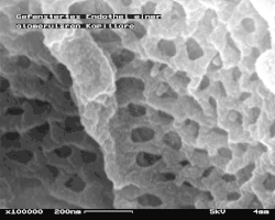 Widok od wewnątrz uszkodzonej kapilarny z widocznymi okienkami, powiększenie 100&nbsp;000×