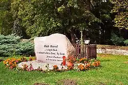 Sadzonka z dębu Chrobry k. kościoła