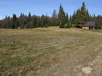 Polana Jankówki ze zrekonstruowanym szałasem