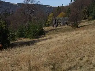 Polana Jankówki z niszczejącym szałasem