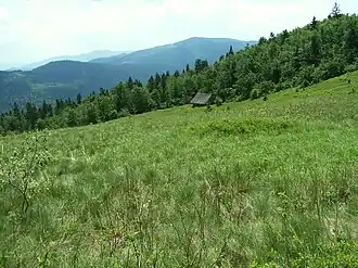 Widok w kierunku wschodnim