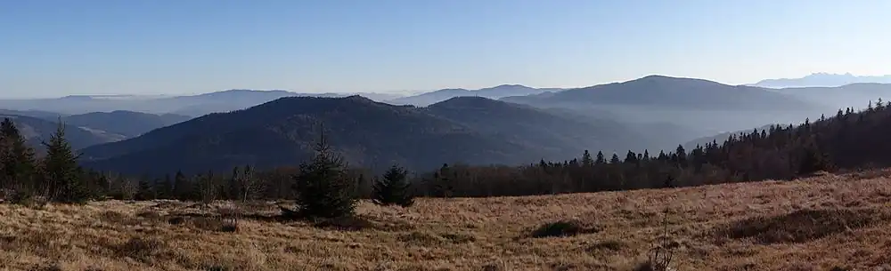Panorama z polany Skalne