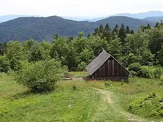 Widok z polany Skalne