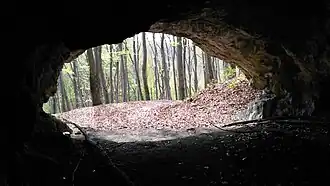 Widok z otworu jaskini