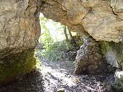 Jaskinia Twardowskiego