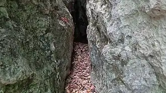 Wnętrze szczeliny wejściowej