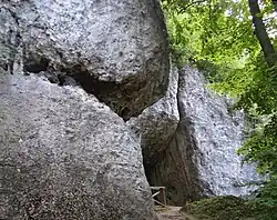 Jaskinia na Biśniku