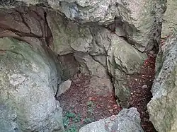 Tylna część komory