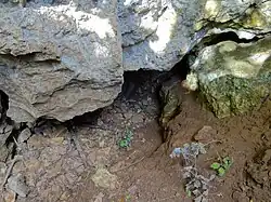 Wejście do korytarza