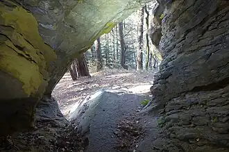 Widok z głównego otworu