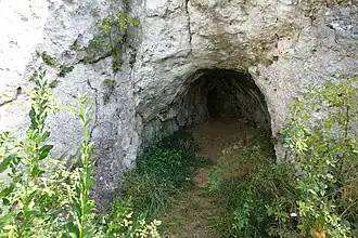 Otwór jaskini i komora